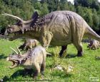 Трицератопсы были травоядными, с большой головой с тремя рогами, один на морду и две большие рога над глазами